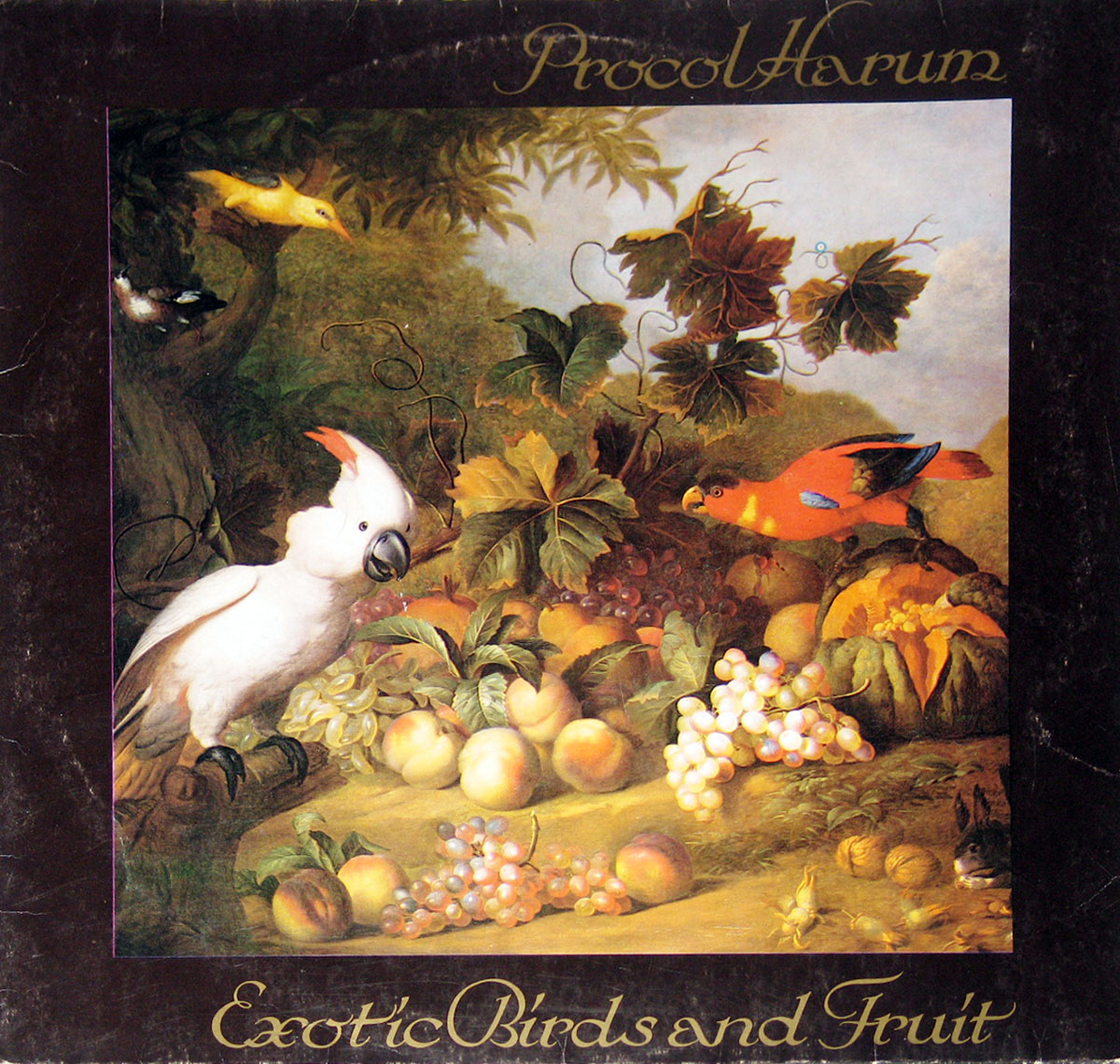 High Resolution Photo # Procol Harum Album Front Cover Vinyl Record